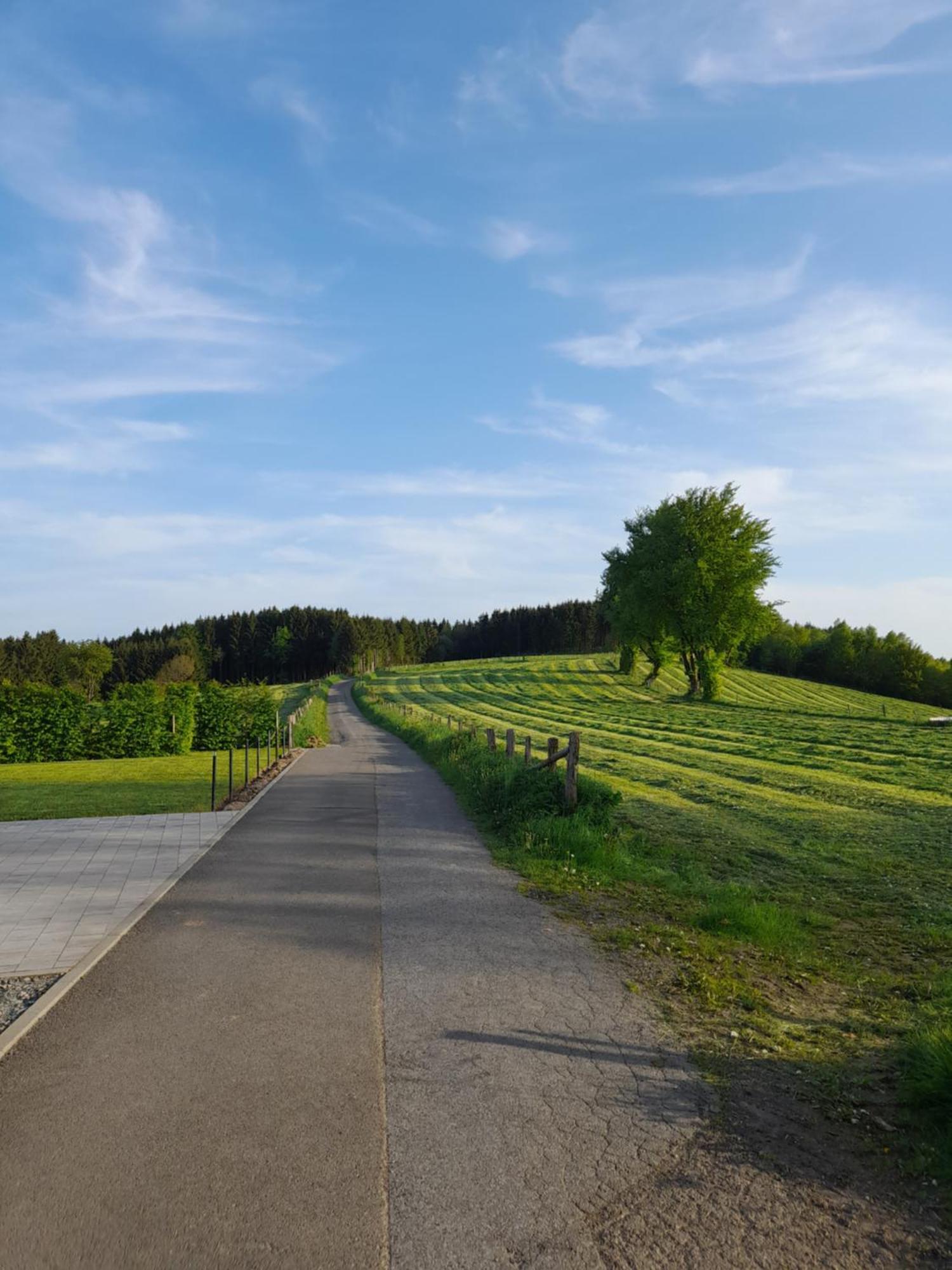 L'Ecureuil - Terrasses De Malmedy Villa Buitenkant foto